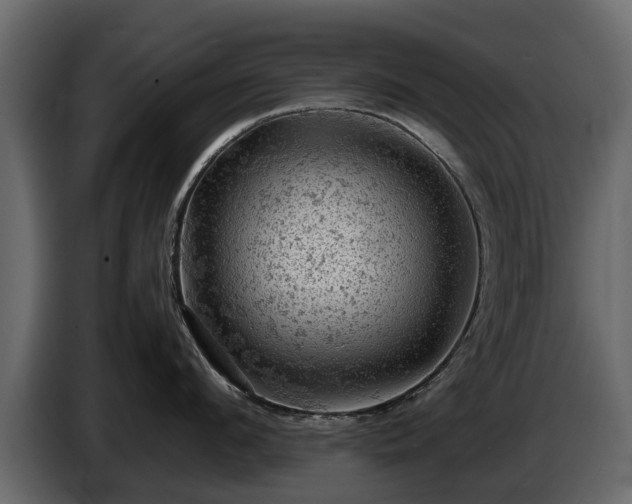 X0000085740912200703231107
