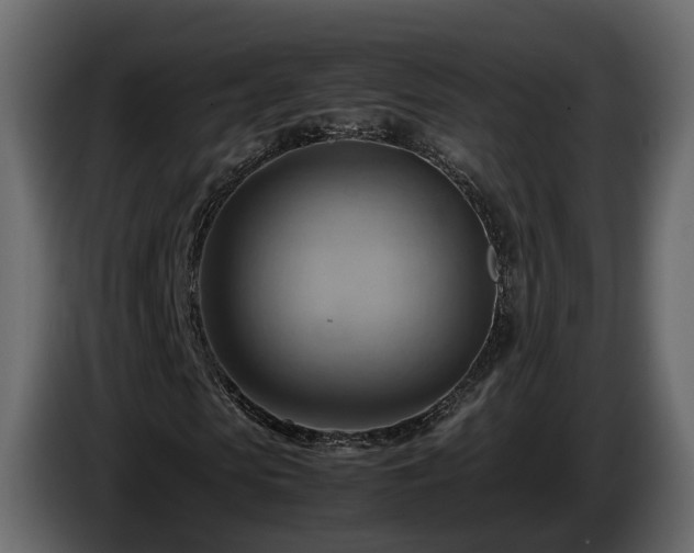 X0000085740913200703231106
