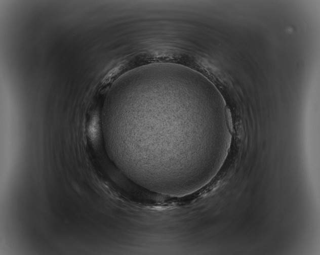 X0000085740916200703231107