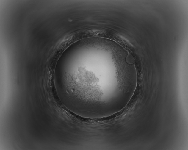 X0000085740917200703231107