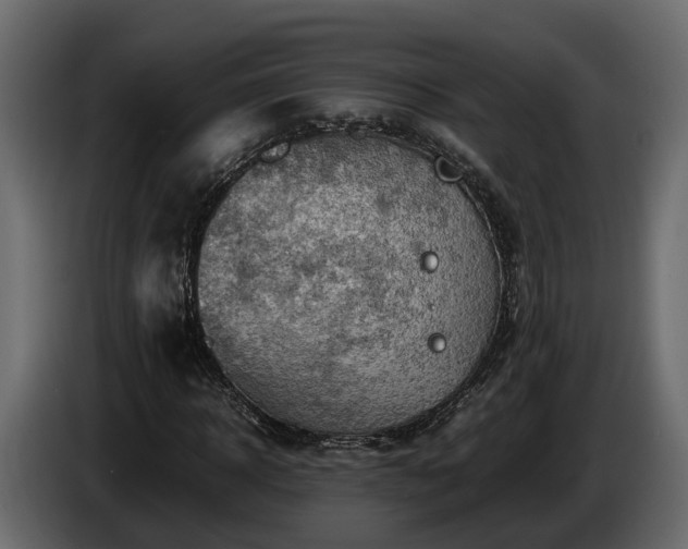 X0000085740918200703231107