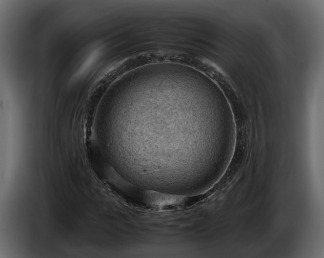 X0000085740919200703231107