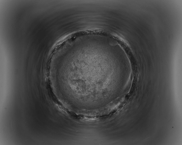 X0000085740920200703231107