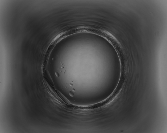 X0000085740921200703231107