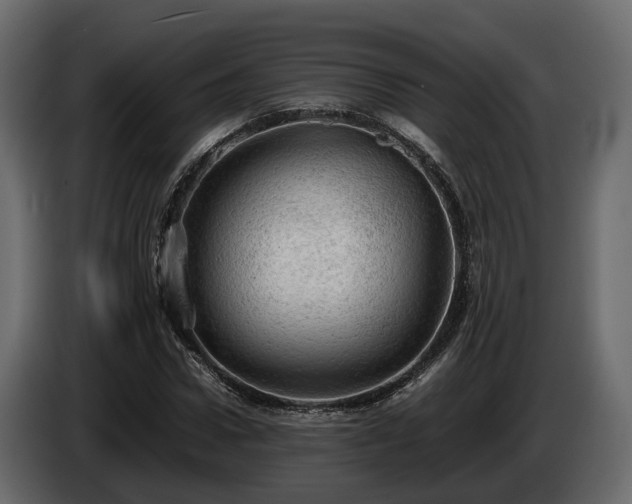 X0000085740922200703231107