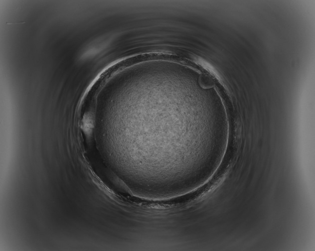 X0000085740923200703231107