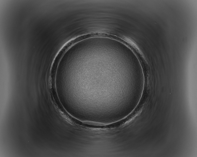 X0000085740924200703231107