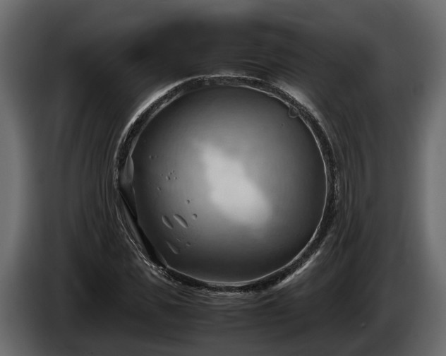 X0000085740925200703231107