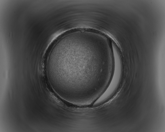X0000085740926200703231107