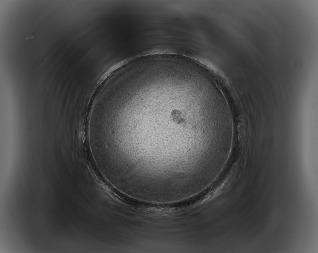 X0000085740929200703231107