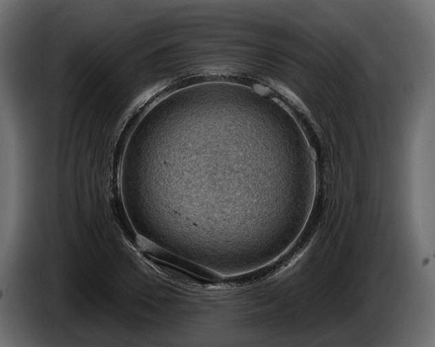 X0000085740930200703231107