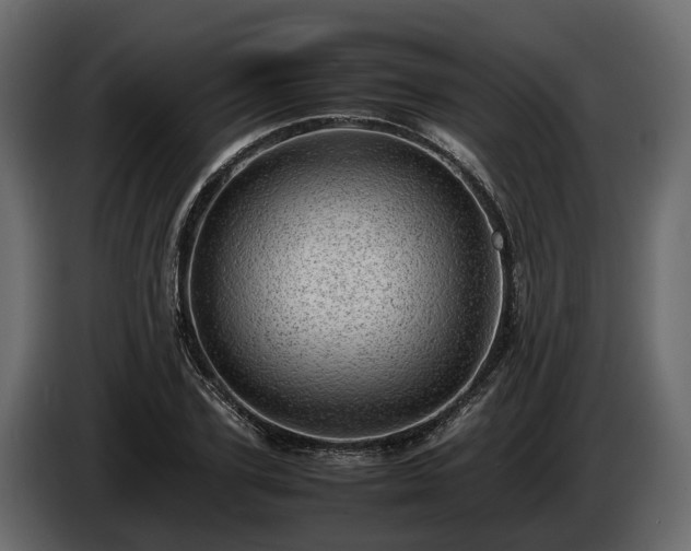 X0000085740931200703231107