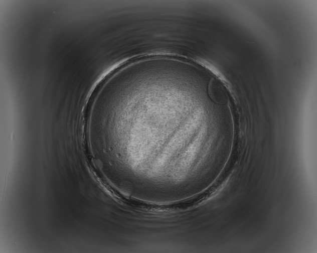 X0000085740933200703231107