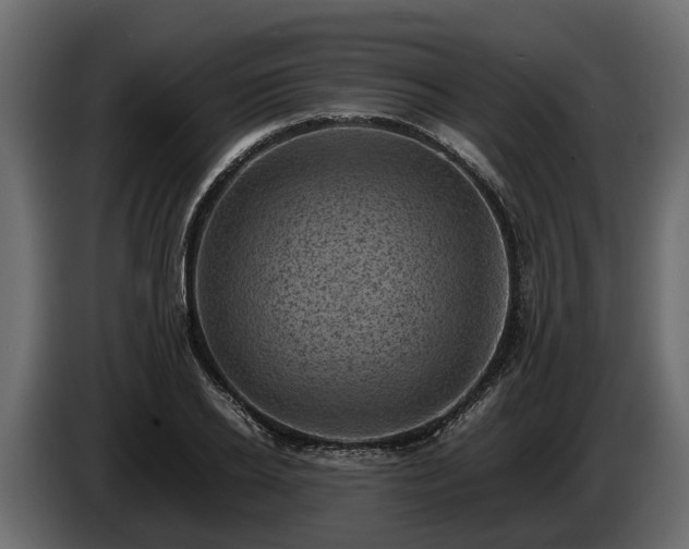 X0000085740934200703231107