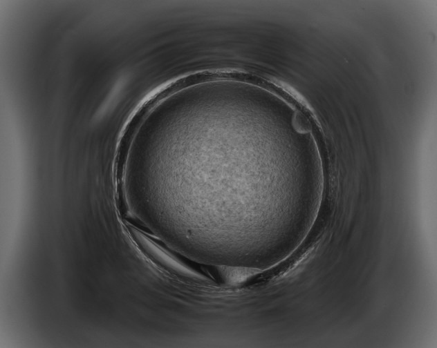 X0000085740935200703231107