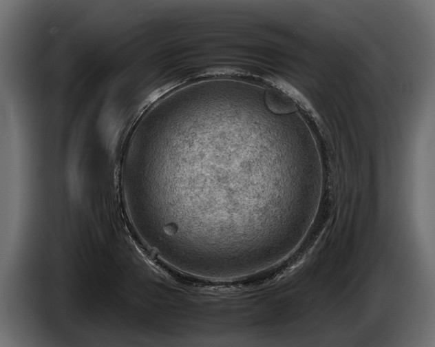 X0000085740937200703231107