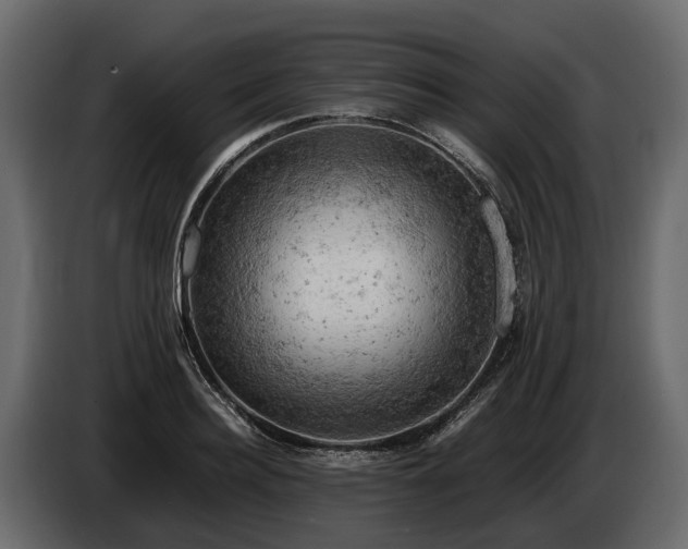 X0000085740940200703231107