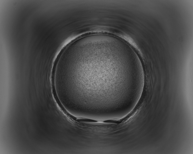 X0000085740943200703231107