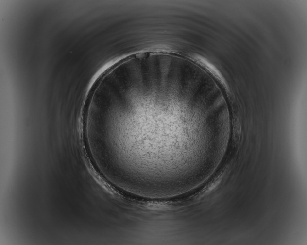X0000085740944200703231107