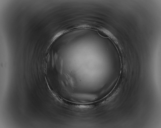 X0000085740945200703231107