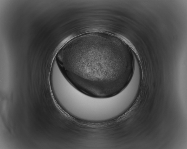 X0000085740946200703231107