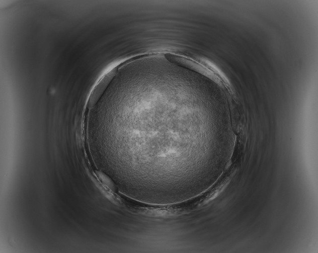 X0000085740948200703231107