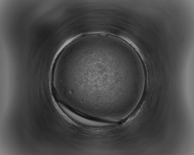 X0000085740949200703231107