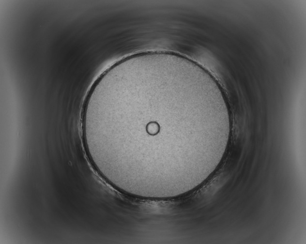 X0000085740950200703231107