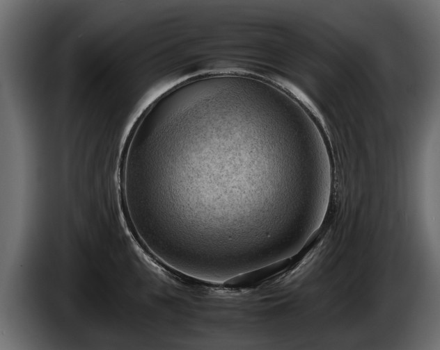 X0000085740951200703231107
