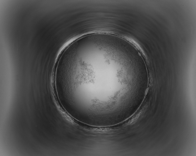 X0000085740952200703231107