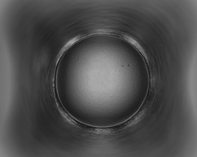 X0000085740954200703231107