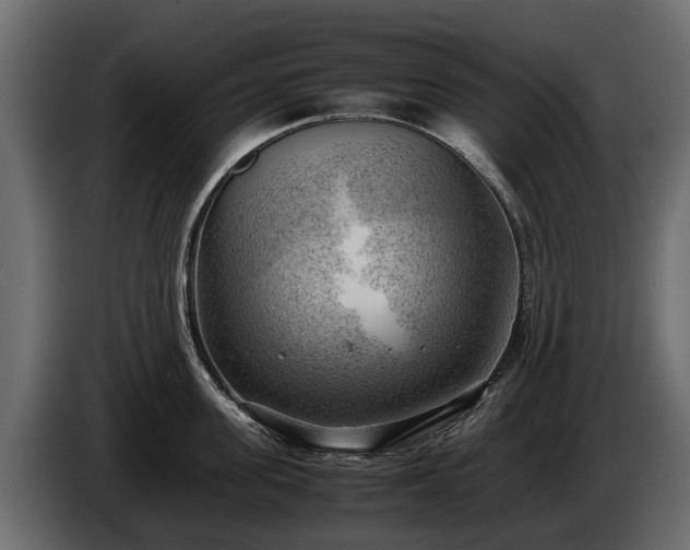 X0000085740955200703231107