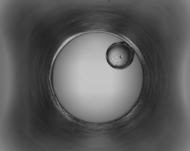 X0000085740956200703231107