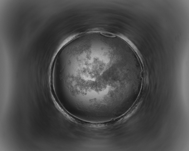 X0000085740957200703231107