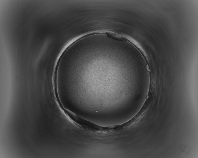 X0000085740959200703231107