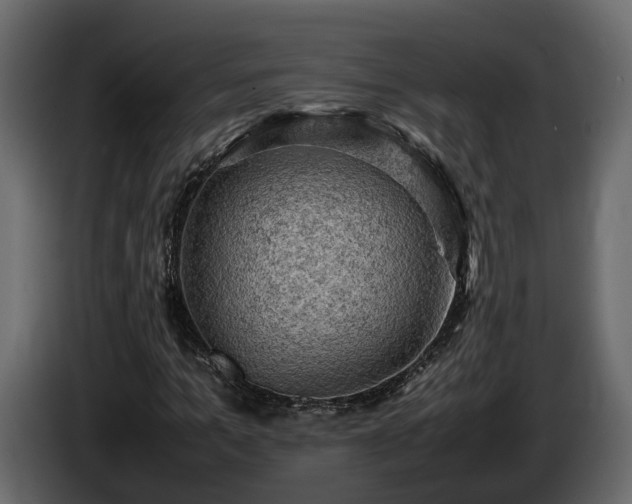 X0000085740965200703231106