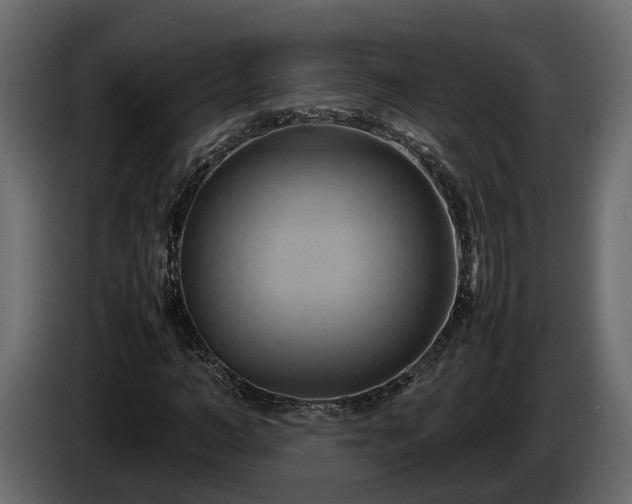 X0000085740966200703231106