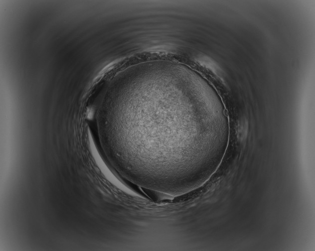 X0000085740968200703231106