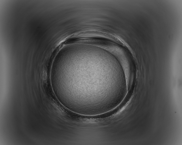 X0000085740969200703231106