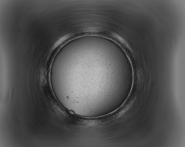 X0000085740970200703231106