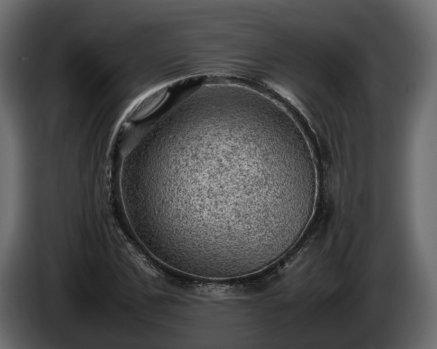X0000085740971200703231106