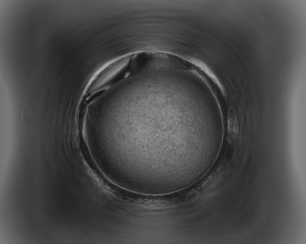 X0000085740972200703231106