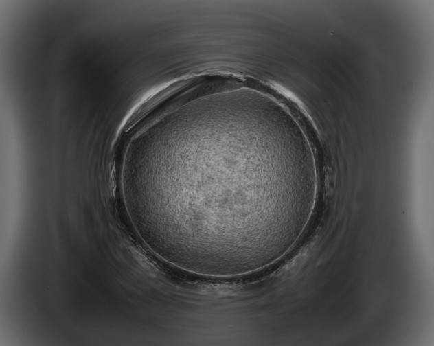 X0000085740973200703231106