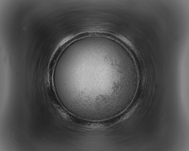 X0000085740974200703231106