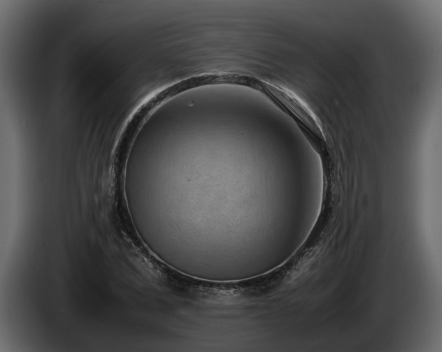 X0000085740975200703231106