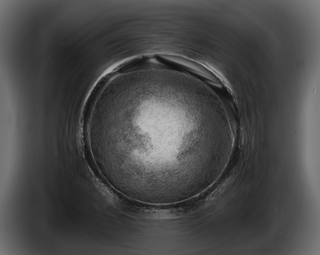 X0000085740976200703231106