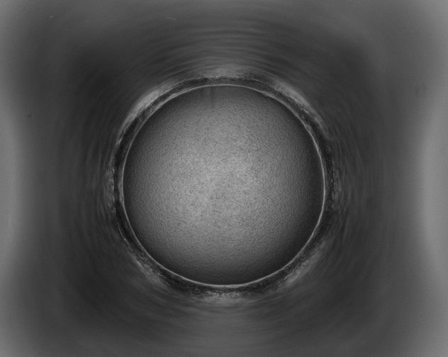 X0000085740978200703231106