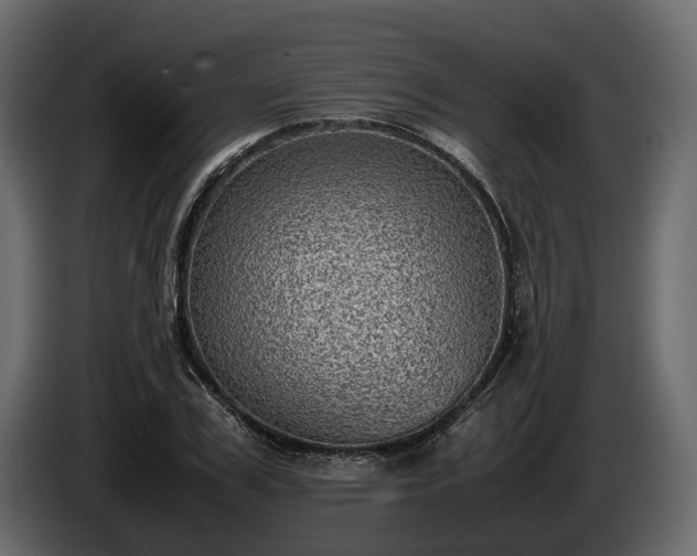 X0000085740979200703231106