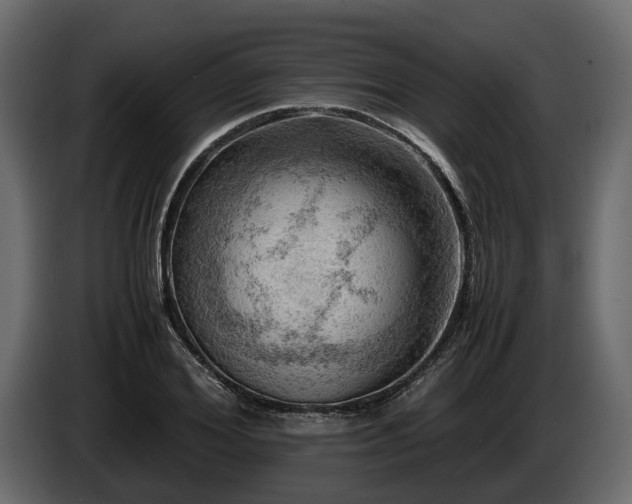 X0000085740980200703231106