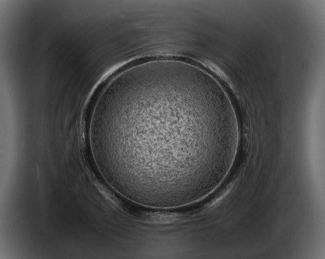 X0000085740981200703231106